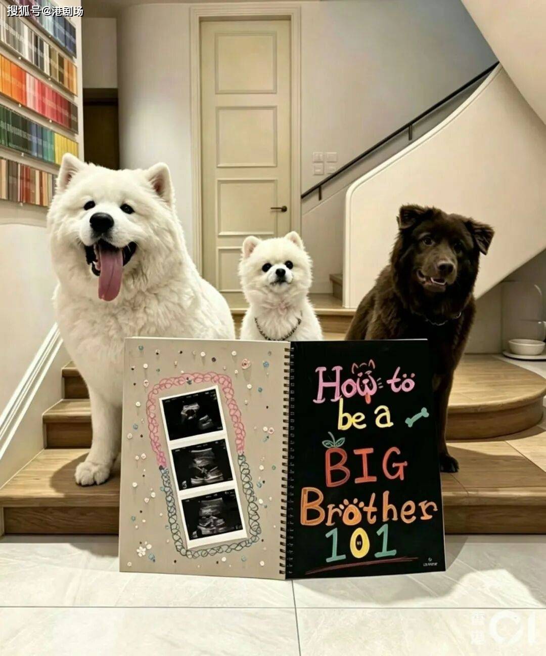VgE4blK8l5aW8wC0.jpg