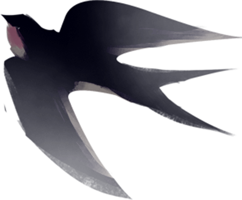 jose7S9zD3R77Wj5.jpg
