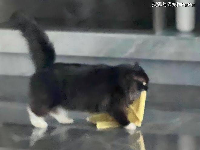 lc4BNfFKo8hI883n.jpg