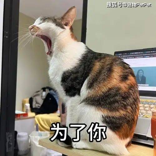 fCm72aAw7KKm0q2a.jpg